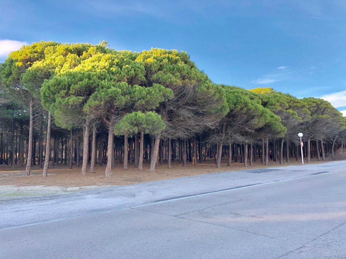 Barcaresa-Villa Vue Mer Acces Direct Plage - Piscine Le Barcarès Buitenkant foto